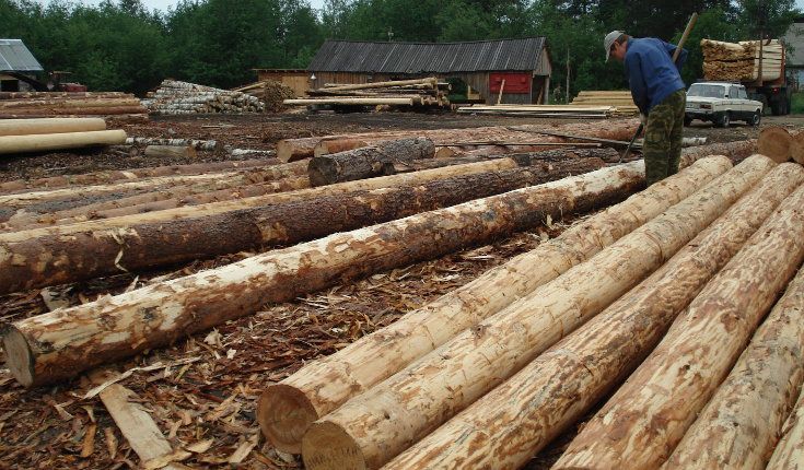 Окорка бревна для изготовления сруба1 Окорка бревна для изготовления сруба1