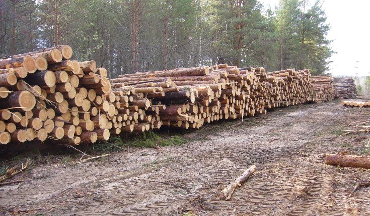 Проветривание бревен1 Проветривание бревен1